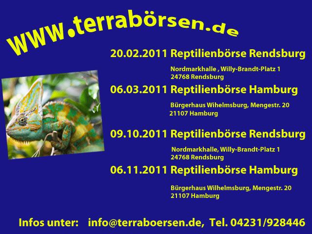 www.terrabrsen.de