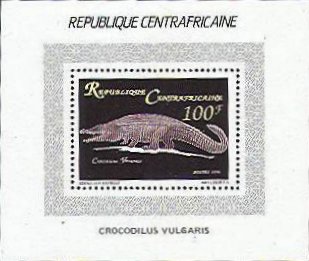 crocodile